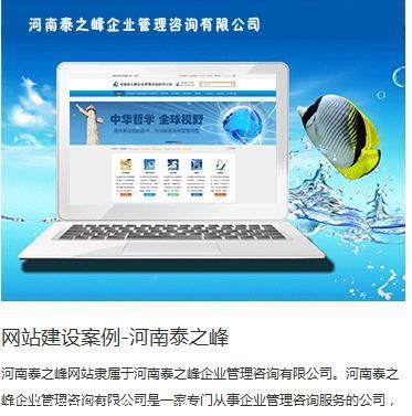 【焦作網(wǎng)站開(kāi)發(fā)實(shí)力排行榜/網(wǎng)站開(kāi)發(fā)實(shí)力哪家強(qiáng)/高端網(wǎng)站建設(shè)公司】?jī)r(jià)格,廠家,網(wǎng)站建設(shè)-搜了網(wǎng)